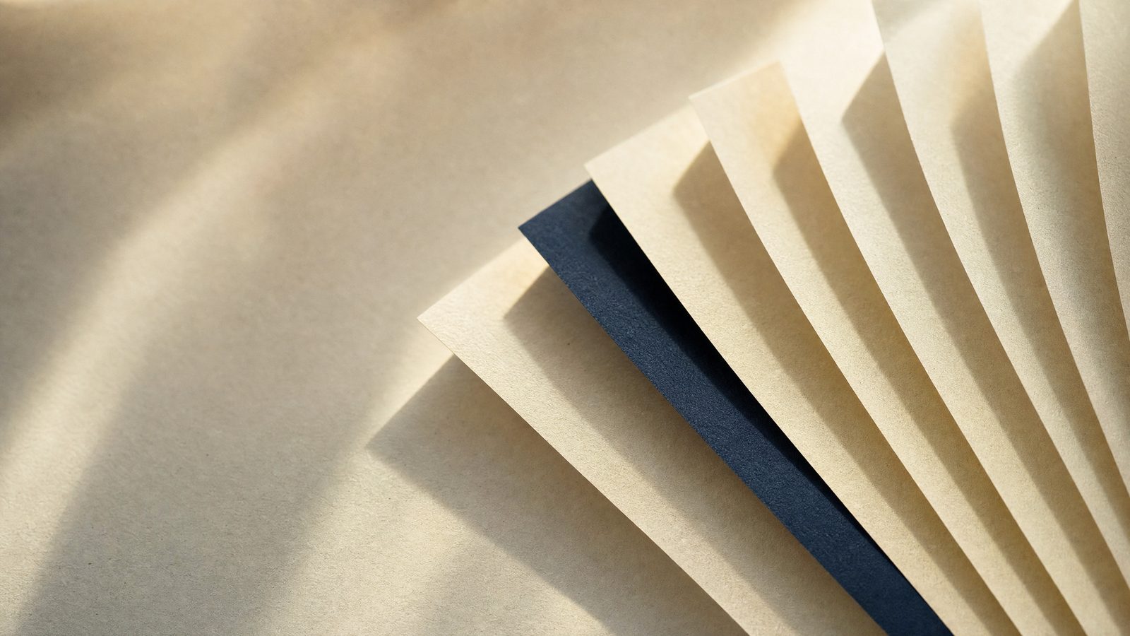 Seven paper strips fanned in a row, one navy — the weekly AI workflow of a small business